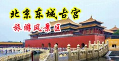 透板机怎么透舒服中国北京-东城古宫旅游风景区